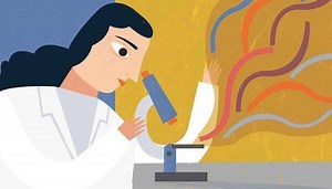 Resumen semanal científico: Auto de hidrógeno en Chile, ocelote albino y el árbol genealógico de la humanidad