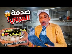 صدمة كبيرة 😲😱