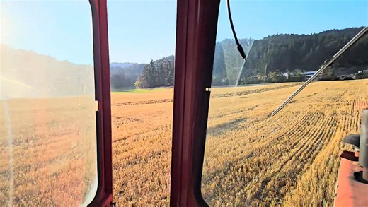 And on to spring tooth cultivating the barley field.... | Parry Bay Sheep Farm