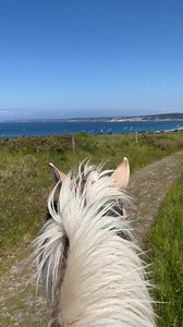19 reactions · 36 shares | ☀️ Cet été, l’équitation, c’est LA bonne idée ! Des activités pour tous dans plus de 6 000 poney-clubs et centres équestres partout en France  | FFE - Fédération Française d'Equitation | Facebook