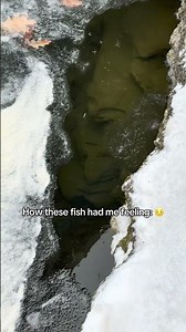 Just take the bait please 🙏🏼 #fishingvideo #trout #fishing #fish #steelhead #outdoors