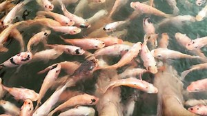 Spa treatment. . . . #longweekendLK | Long Weekend Sri Lanka | Facebook