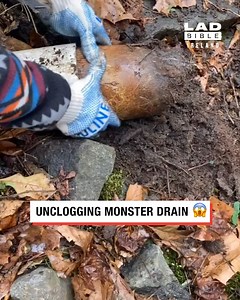 Unclogging monster drain 😱😅 | LADbible Ireland