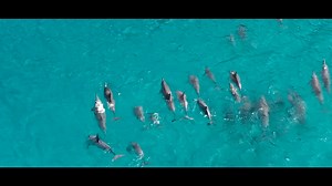 3.6K views | Sataya Resort Marsa alam - aqua park - Beach front...