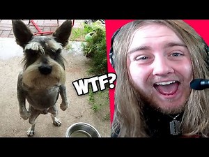 Damn Nature You Scary | Funny Scary Animal Encounters