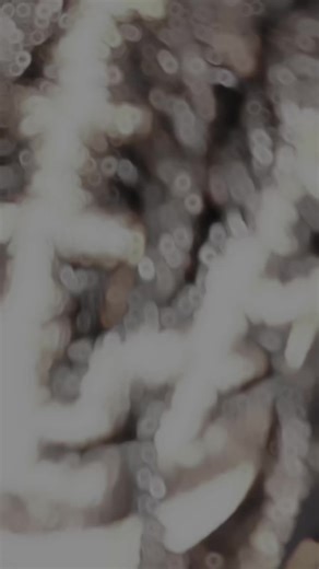 #CapCut #nouvellecoupe #pourtoi #locks