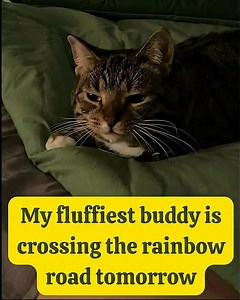 117K views · 3.2K reactions | He has been struggling with...