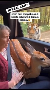 2.4K views · 12K reactions | uishh seram nya nasib baik pintu kereta tak berkunci  #fypchallenge | Nurul Ain | Facebook