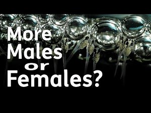 What Determines A Betta Spawn's Sex Ratio? | More Males or Females?