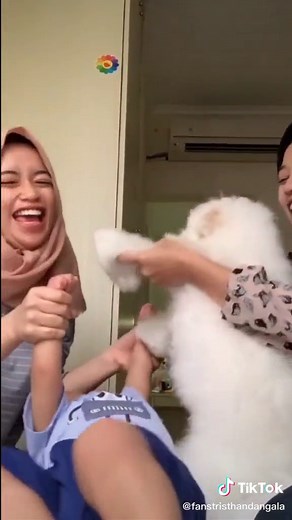 FansGalaSkyᥫ᭡ on TikTok