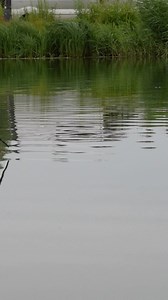 4.7K views · 139 reactions | Get in!!朗朗 | Preston Innovations | Facebook