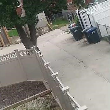Caught a group of niggas getting they dick sucked un my alley by another nigga 😭😭😭😭😭