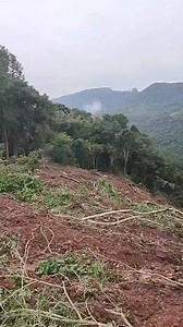 38K views · 64 reactions | Rádio Garibaldi on Reels | Facebook