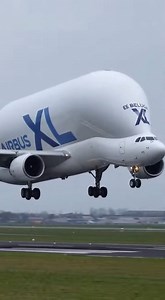 Beautiful Landing — Airbus Beluga XL Smooth Touchdown | Joy Ann