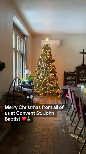 Christmas blessings to all of you, and prayers for peace on earth. 🕊️ #convent #episcopal #nuntok #christmas #anglican