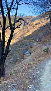 Beautiful morning view | Unexplored Beauty Of Pogal Paristan