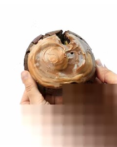 217K views · 1.2K reactions | ✨Crumbl Weekly Flavors✨ . You WON’T want to miss this. . April 20 - April 25: • 拏 OREO® • 異 CHILLED TWIX ​• 樂 PEANUT BUTTER BROWNIE ​• ⚪ MACADAMIA NUT •  CHILLED SUGAR •  MILK CHOCOLATE CHIP . Order for takeout, curbside pick-up, delivery or nationwide shipping! .  www.crumbl.com/app | Crumbl | Facebook