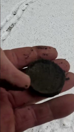 Metal Detecting Old Woman's Compact 1800 Coins Relics Toys Farm Western NY #metaldetecting #shorts