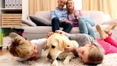 Happy siblings petting labrador on rug at home in the living room