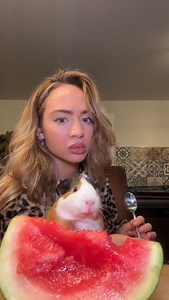 REMY GUMBS | because ya'll asking where the piggies are, here's a random video of me and Looshkin eating a watermelon , which I wasn't gonna share. 🍉... | Instagram