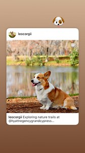 Hyatt Regency Grand Cypress Resort on Reels | Facebook