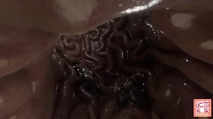 Giantess Sophia - Ep 5