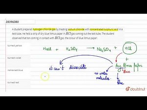 A student prepared hydrogen chloride gas by treating sodium chloride with concentrated