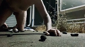 ▶︎ Faggot Eats Dog Shit