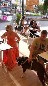 48K views · 101 reactions | Woman interacts with blind man's service dog. | Tips & Tricks | Facebook