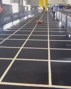 1.4K views | MyCoach on Reels | Facebook