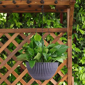 [Hot Item] Best Selling Wall Hanging Basket Green Radish Succulent Flower Pot Container Plastic Woven Planters for Indoor Outdoor Use