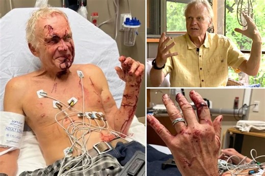 Today's Video Headlines