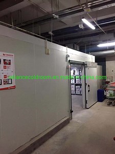 [Hot Item] Commercial Walk in Cooler Panels Used Controller Cold Room Storage Freezer Monoblock Condenser for Meat Fish