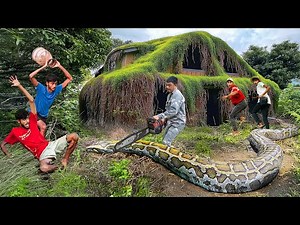 Clean Up Abandoned House | Horrifying Battle With a 20m Long Python in Front of an Old House