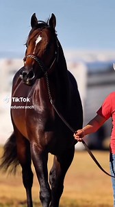 5.5K views · 52 reactions | 1 MAQUILA GRATIS PARA QUIEN LLEVE 3 o...