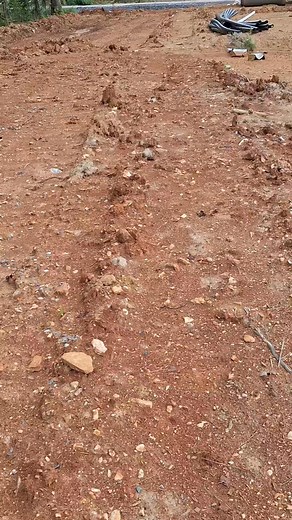 Geode Hunting in Alabama #alabama_rockhound #rockhound #geode #rockhunter #nature #rockcollection | Alabama Rockhound