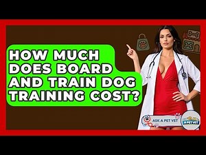 How Much Does Board And Train Dog Training Cost? - Ask A Pet Vet
