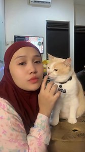 46K views · 1.6K reactions | Beli Produk Pororo and the gank di sini yah bundaaa  https://s.shopee.co.id/30ZDv4q572?share_channel_code=4 #Reels #Pororoandthegank #Cicichania #pecintakucing | Fans Pororo Tiktok75 | Facebook