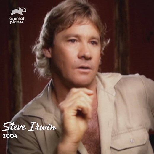 Happy Steve Irwin Day! 🙌 Today we remember The Crocodile Hunter. 🐊 | Discovery Channel UK