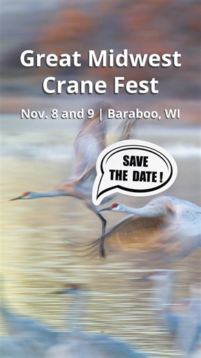 International Crane Foundation on TikTok