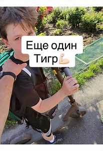 Відео користувача Сурат | Шо Таке (@surat_musayev) з композицією «оригинальный звук - Сурат | Шо Таке»