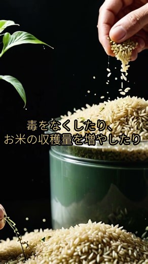 【朗報】花粉症がなくなる！？ゲノム編集トマトや毒のないジャガイモって何？🍅🌲#ゲノム編集 #花粉症対策 #バイオテクノロジー #科学 #トマト #大学生