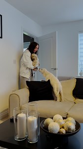 890K views · 10K reactions | His little face when the puppy came in  | Furry Tails | Facebook