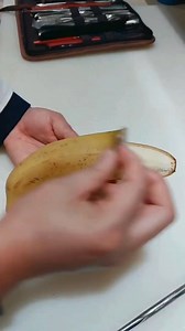 Netro is a daily dose of entertainment. | Netro