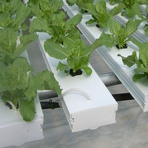[Hot Item] Hot Product Nft Growing Systems Channel Commercial PVC Hydroponic System