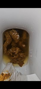 Urgent morning piss and shit after Party