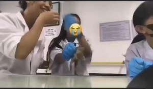 583K views · 978 reactions | Sino first kiss mo?  | Daily Crypto | Facebook