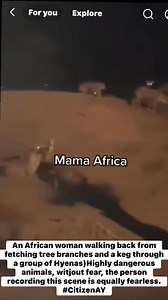 13K views · 125 reactions | An African woman walking back from fetching tree branches and a keg through a group of Hyenas highly dangerous animals, without fear, the person recording this scene is equally fearless. #CitizenAY | Citizen AY | Facebook