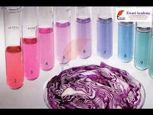 Class 7 Science Chapter 5 Acids, Bases and Salts - Natural Indicators Around Us.