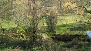 397 reactions · 43 shares |  În Cerna Sat mai trăiesc doar 15...